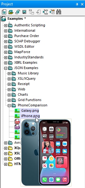 New features in XMLSpy Project Window