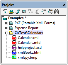 Project_ExtFolderExpanded