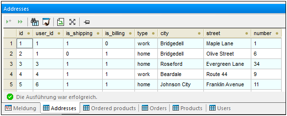 Auf dem Register "Ergebnisse" sehen Sie die abgerufenen Datensätze. Auf dem Register "Ergebnisse" sehen Sie die abgerufenen Datensätze.