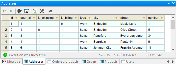 The Result tabs displays the retrieved record sets The Result tabs displays the retrieved record sets