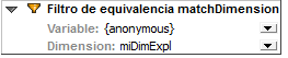 XBRLFilterMatchDimension