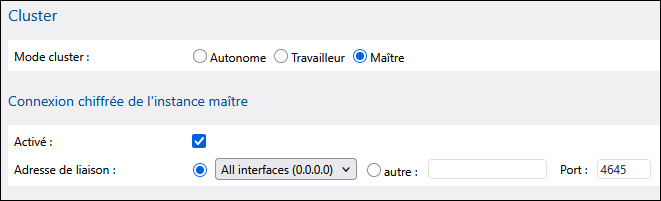 ff_master_instance_config