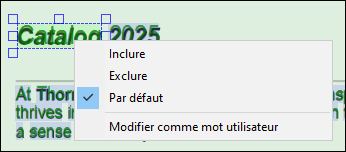 PDFEX_DetectedWordContextMenu