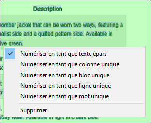 PDFEX_SegmentationModes