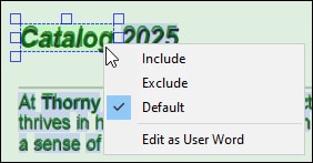 PDFEX_DetectedWordContextMenu