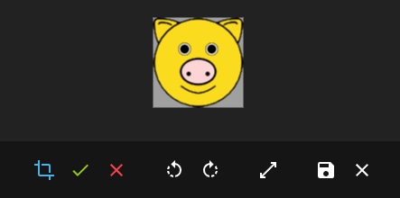 MTActionEditImageEditingControls